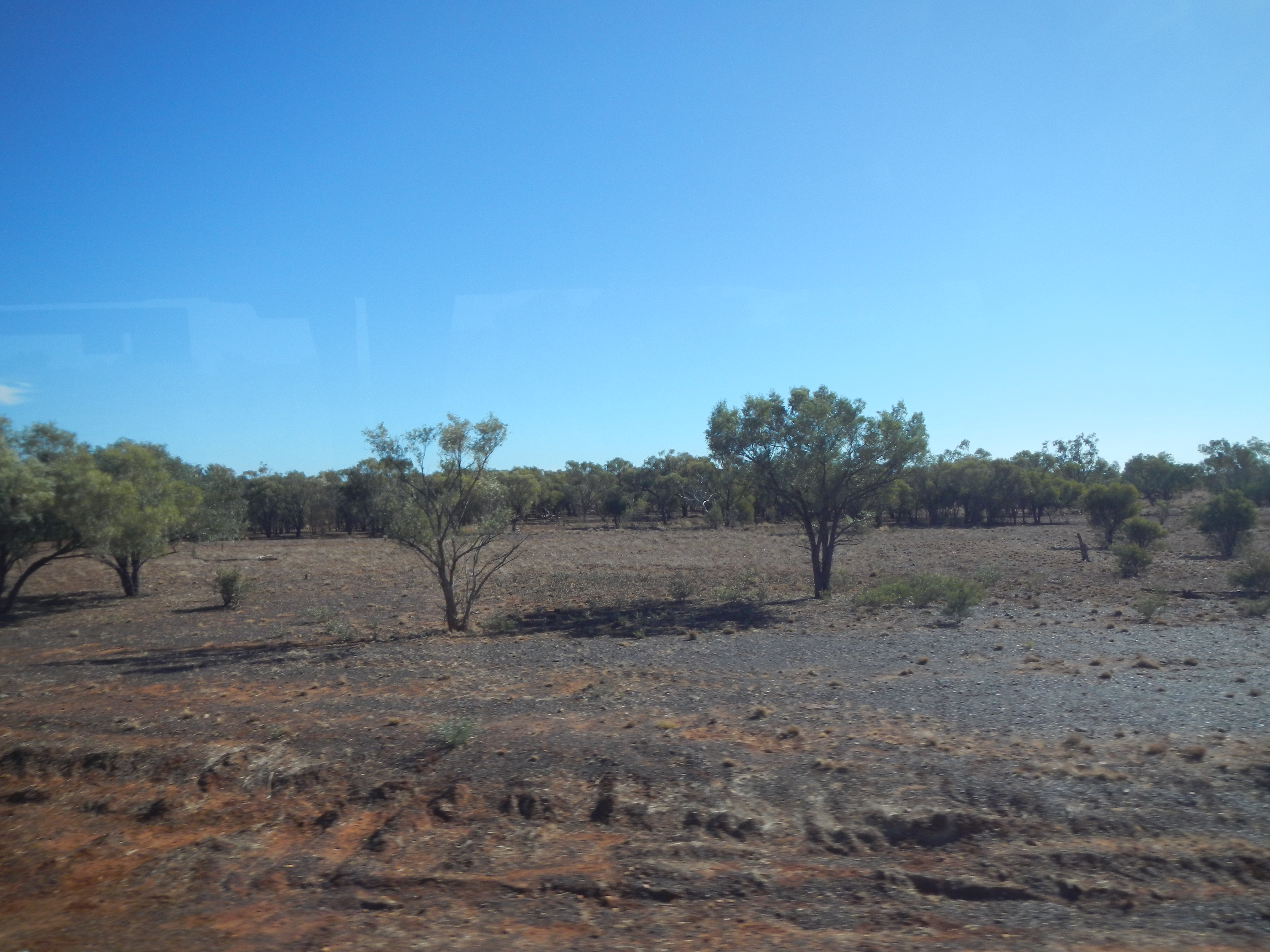 Australian landscape